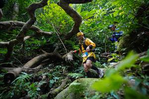 BIB: 
                            <button type="button" onclick="openModal(19407824)" class="btn btn-primary btn-sm float-right btn-popup" data-toggle="modal" data-target=".modal-high-quality">
                        <i class="fas fa-shopping-cart"></i> Add to Cart
                    </button>
                                            <button type="button" onclick="isThisMe(19407824, true)" class="btn btn-success btn-sm float-right btn-popup btn-isme hidden" data-toggle="tooltip" data-placement="bottom" title="นี่คือรูปของคุณใช่ไหม คลิกที่นี่เพื่อเอาเข้าอัลบั้ม">
                        <i class="fas fa-plus"></i> Add to album
                    </button>
                    <button type="button" onclick="isThisMe(19407824, false)" class="btn btn-warning btn-sm float-right btn-popup btn-isnotme hidden">
                        <i class="fas fa-ban"></i> Remove from album
                    </button>